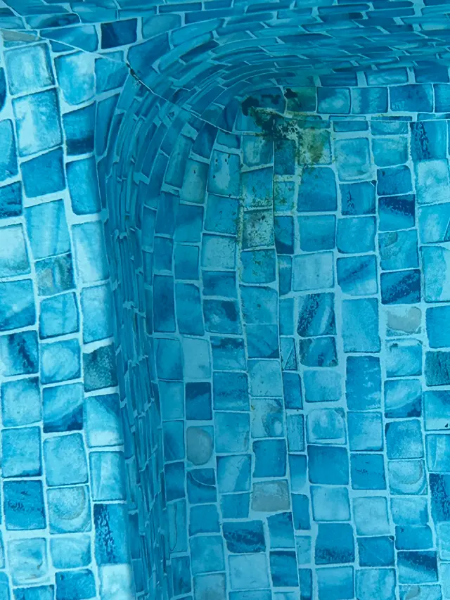 Customer photo of work by Prestige Pools Inc., from stacie clark's review