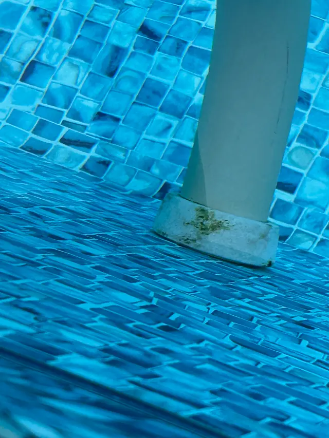 Prestige Pools Inc. — customer photo 6