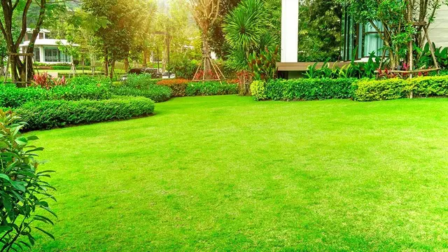 Turf Pro Lawncare & Snow Removal — photo from the business 1