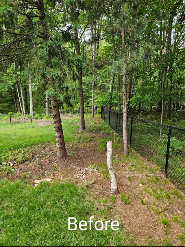 Superior Lawn Care and Landscaping — customer photo 1