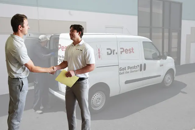Dr. Pest — photo from the business 1