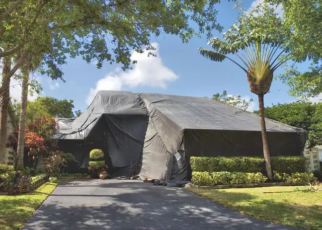 Smart Pest Control — photo from the business 3