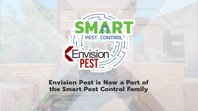 Smart Pest Control — photo from the business 1