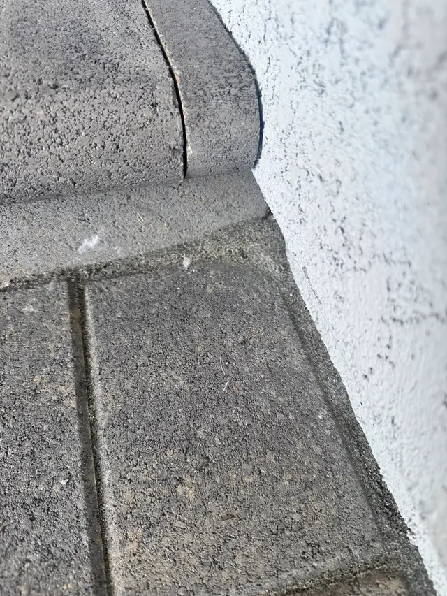Smart Pest Control — customer photo 12