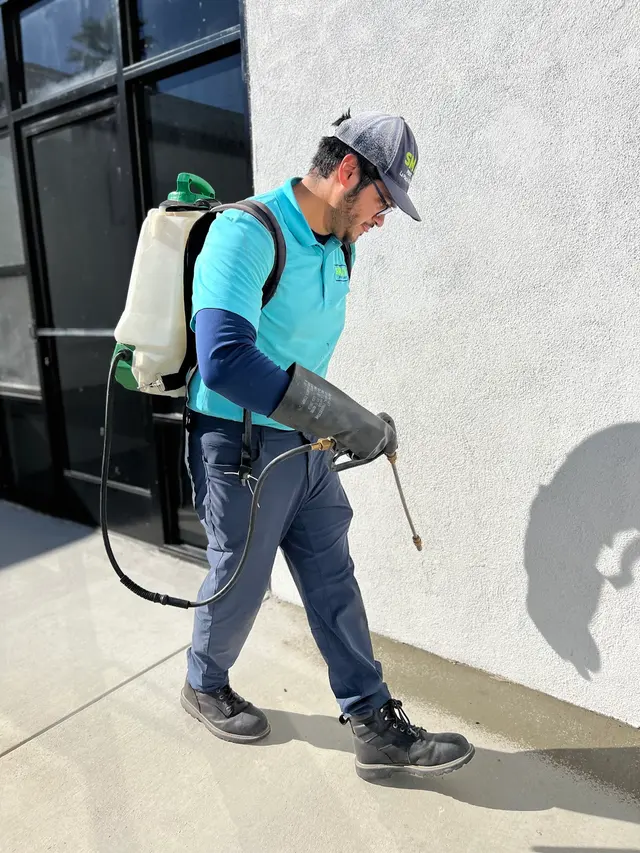 Smart Pest Control — photo from the business 5