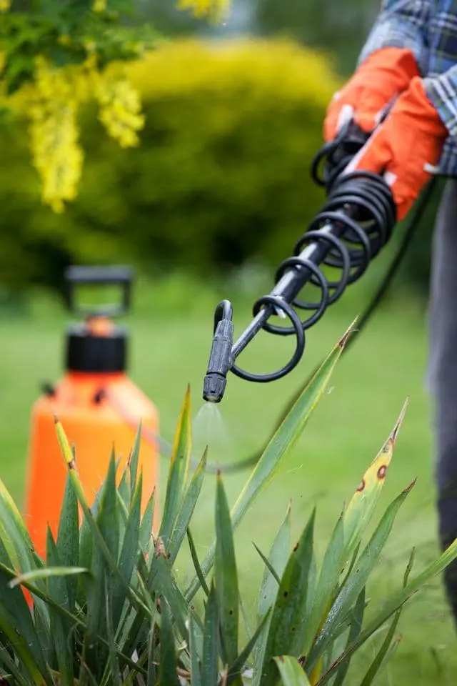 Smart Pest Control — photo from the business 4