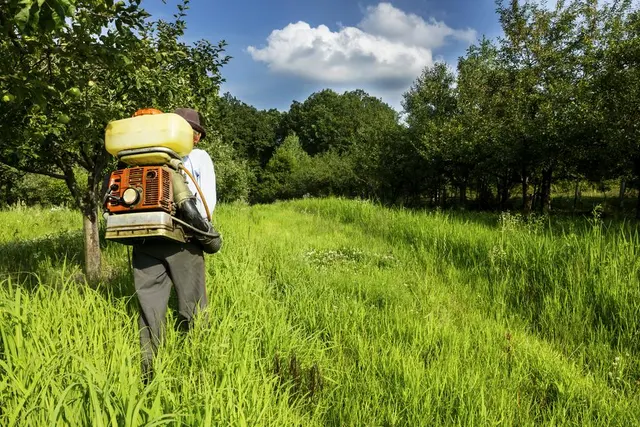Smart Pest Control — photo from the business 2