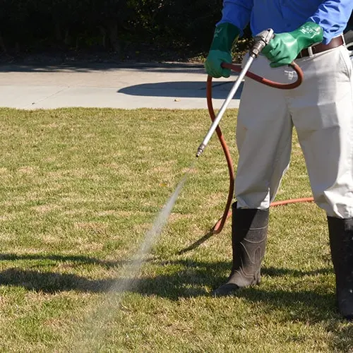Smart Pest Control — photo from the business 7