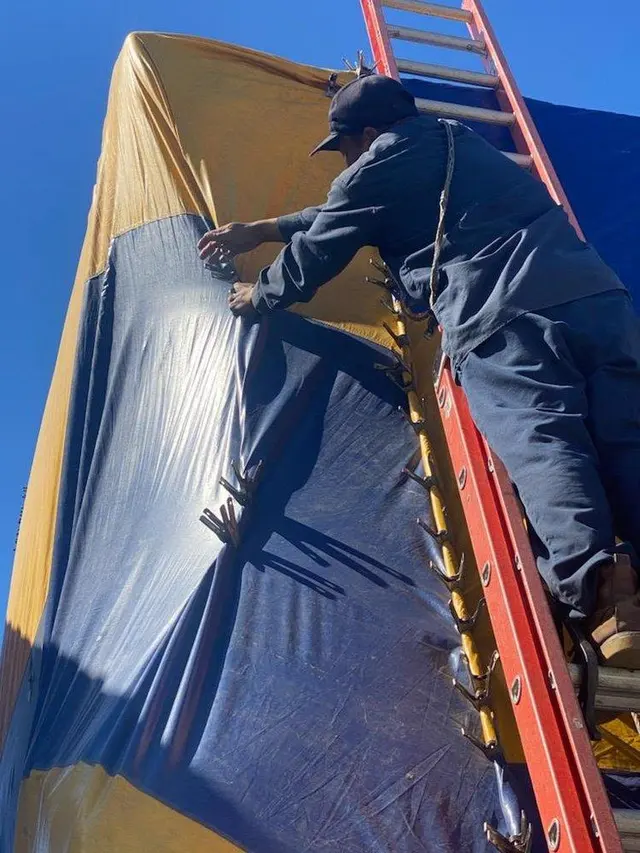 CURA Termite and Pest Control — photo from the business 9