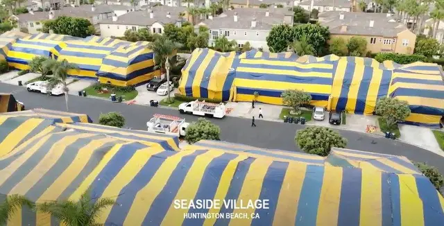 CURA Termite and Pest Control — photo from the business 1