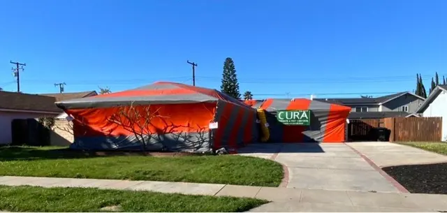CURA Termite and Pest Control — photo from the business 11
