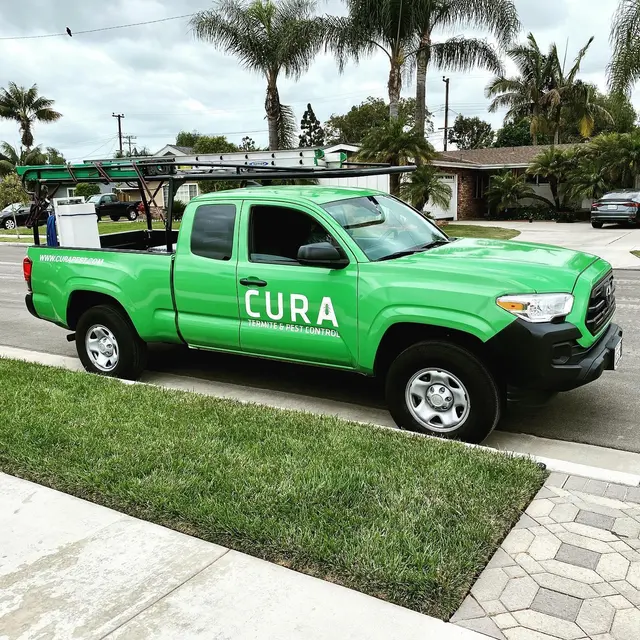CURA Termite and Pest Control — photo from the business 2