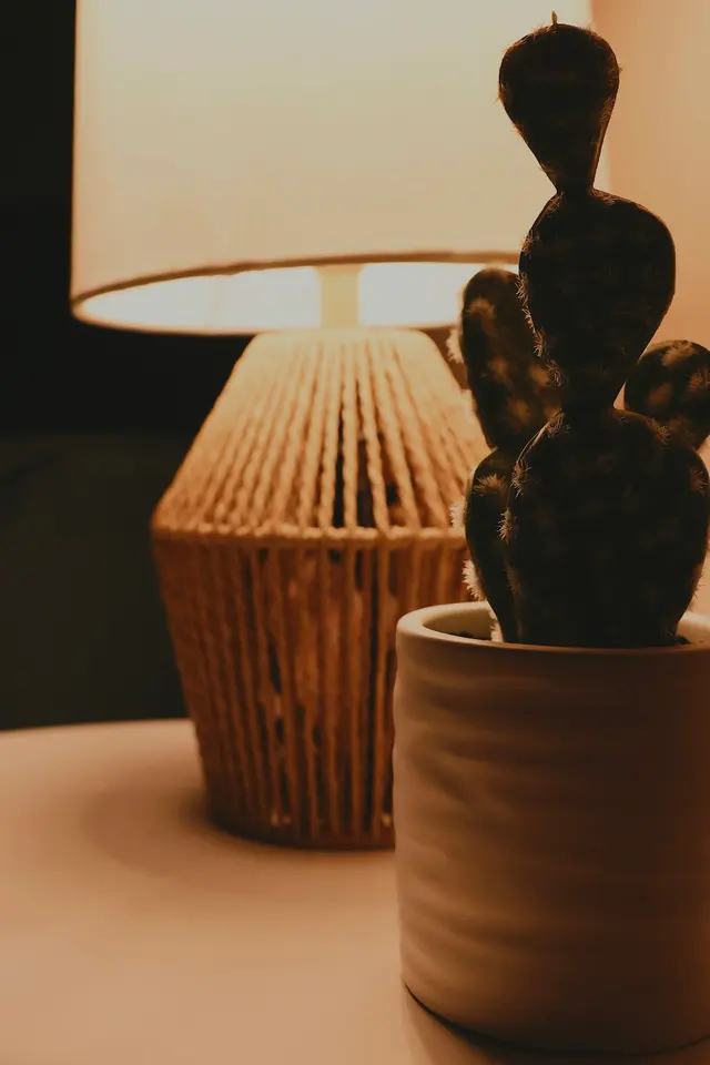 The Joshua Tree Spa — photo from the business 6