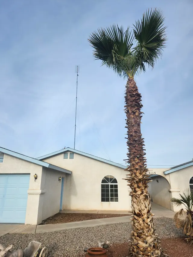 Greg's Trimmings Services — customer photo 2