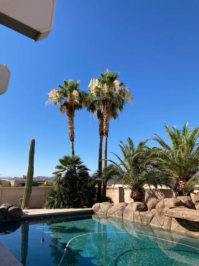 Diligent tree service — customer photo 12