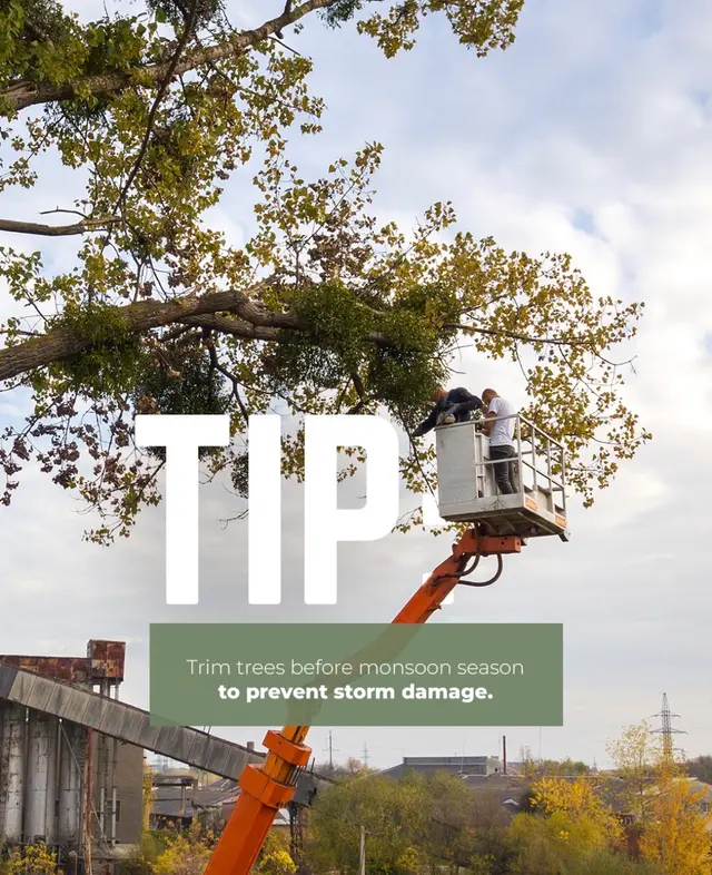 Diligent tree service — photo from the business 9