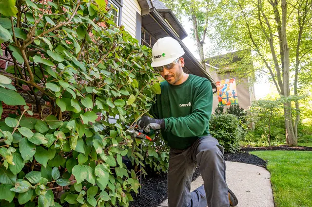 The Davey Tree Expert Company — photo from the business 6