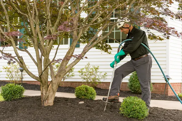 The Davey Tree Expert Company — photo from the business 4
