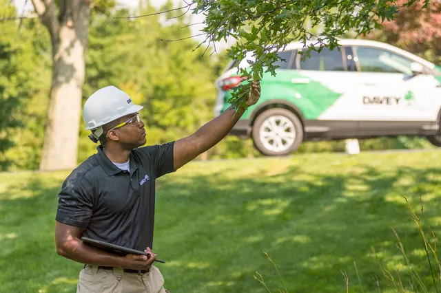 The Davey Tree Expert Company — photo from the business 2