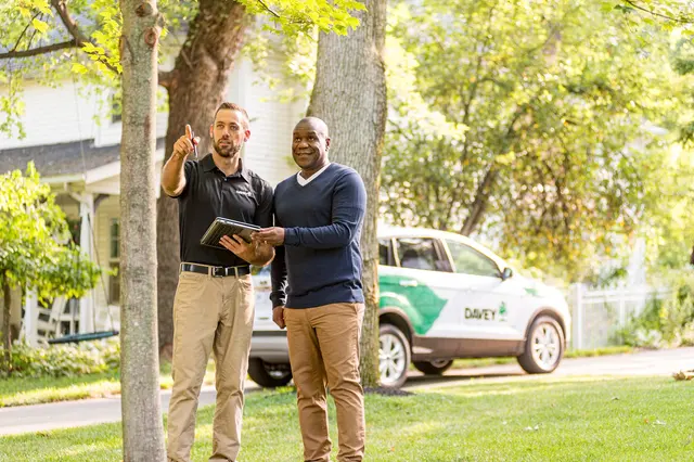 The Davey Tree Expert Company — photo from the business 9