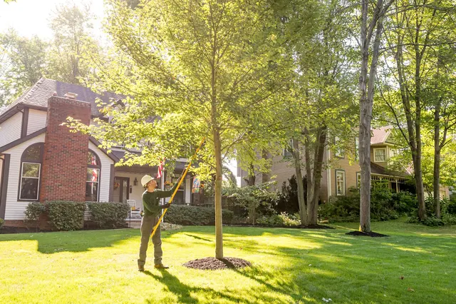 The Davey Tree Expert Company — photo from the business 7