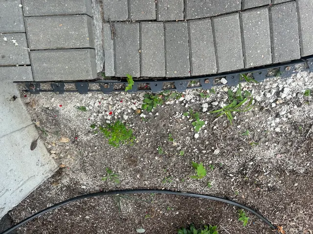 Customer photo of work by State Line Landscaping, from Alan Labuda's review