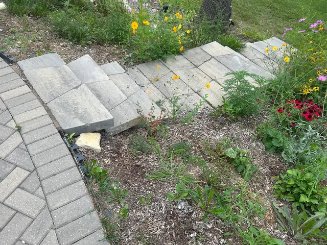 State Line Landscaping — customer photo 12