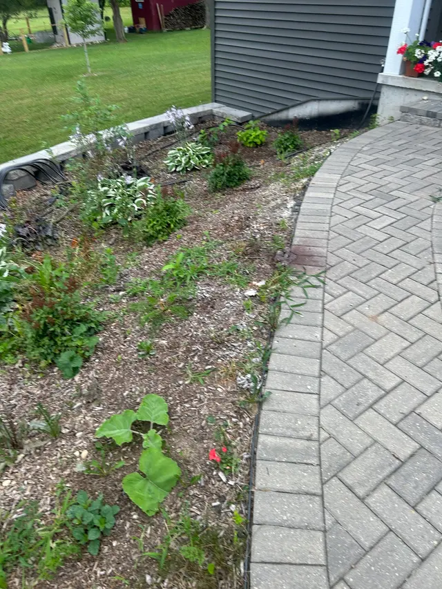 Customer photo of work by State Line Landscaping, from Alan Labuda's review