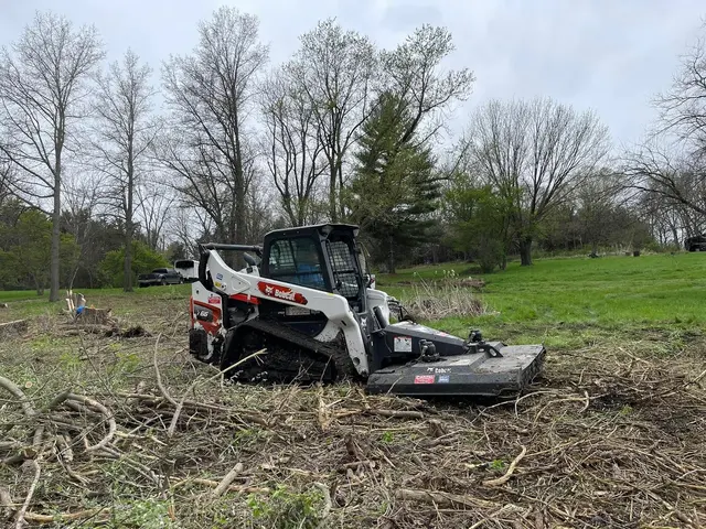 World Class Tree Service — photo from the business 2