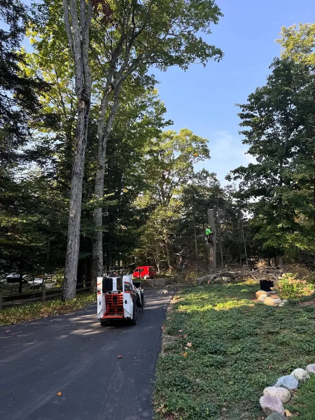 World Class Tree Service — photo from the business 7
