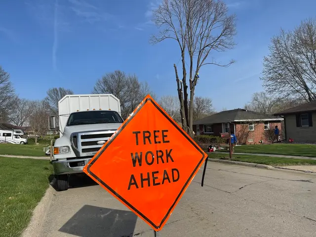 World Class Tree Service — photo from the business 1