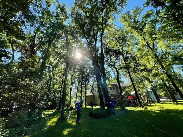 World Class Tree Service — photo from the business 10