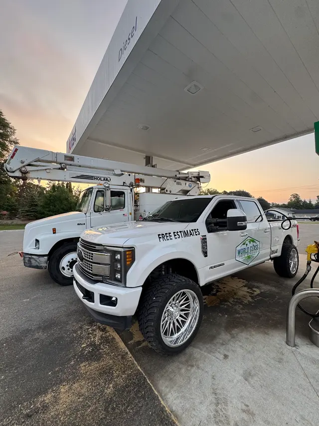 World Class Tree Service — photo from the business 11