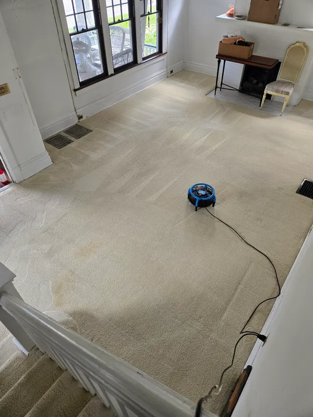 C&S Cleaning Services, LLC — customer photo 2