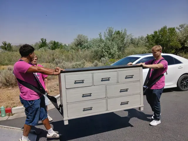 DL Movers Elko — photo from the business 3