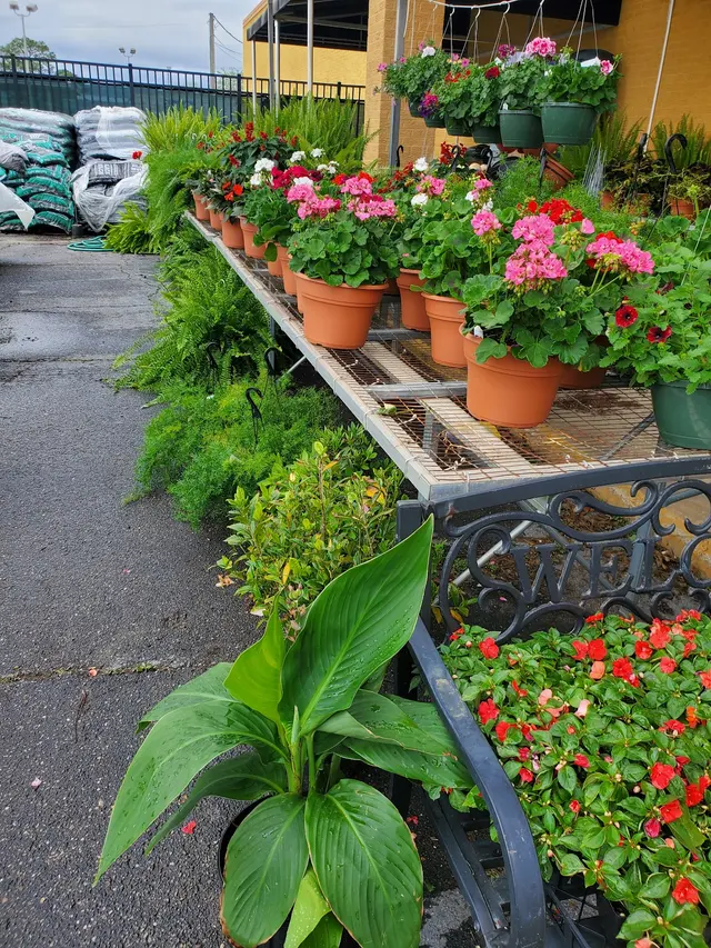Paris Ace Ocean Springs — customer photo 11