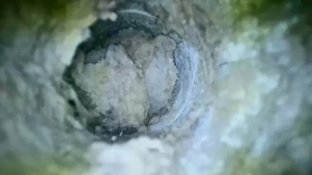 Dryer Vent Superheroes of Indianapolis — photo from the business 9