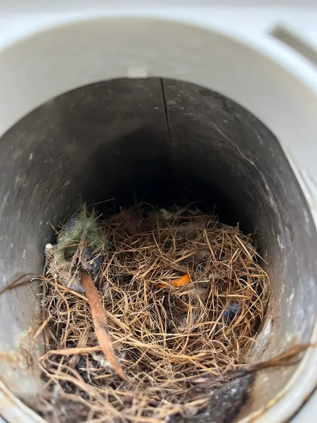 Dryer Vent Superheroes of Indianapolis — photo from the business 11