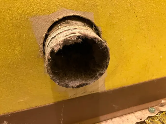 Dryer Vent Superheroes of Indianapolis — photo from the business 7