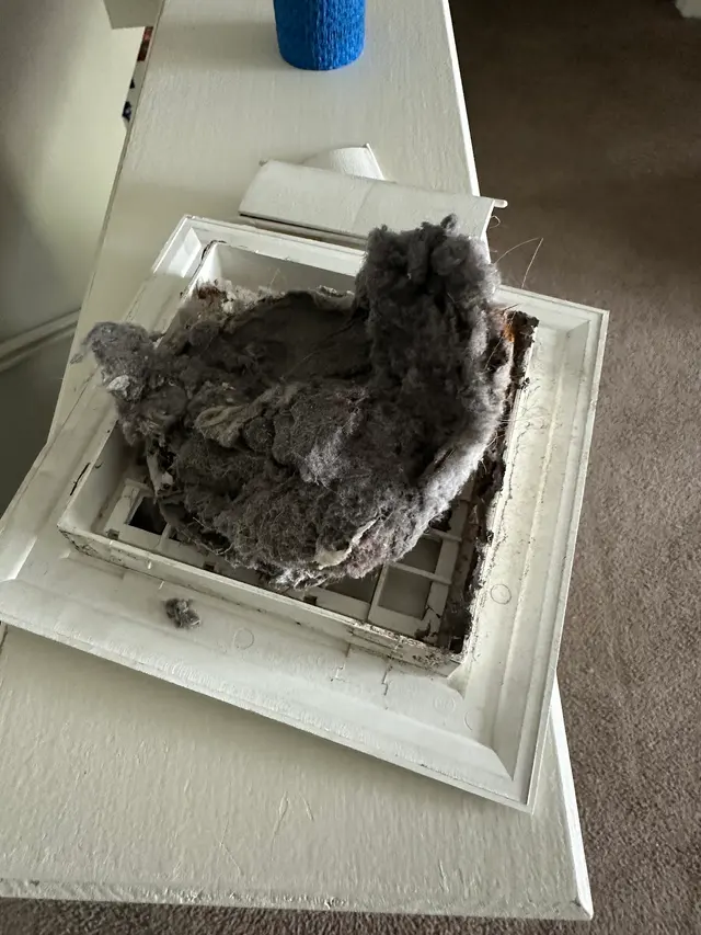 Dryer Vent Superheroes of Indianapolis — customer photo 12