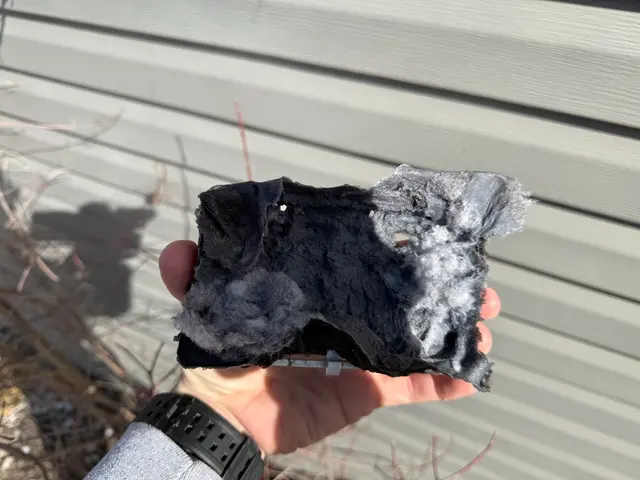 Customer photo of work by Safe Dryer & Air Duct Solutions, from Kaitlyn Milo's review