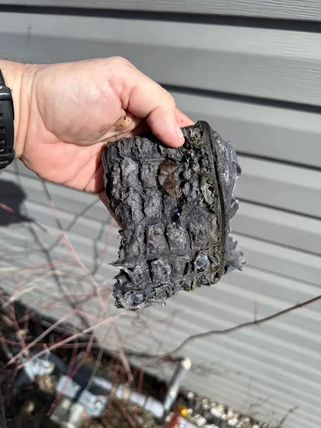 Customer photo of work by Safe Dryer & Air Duct Solutions, from Kaitlyn Milo's review