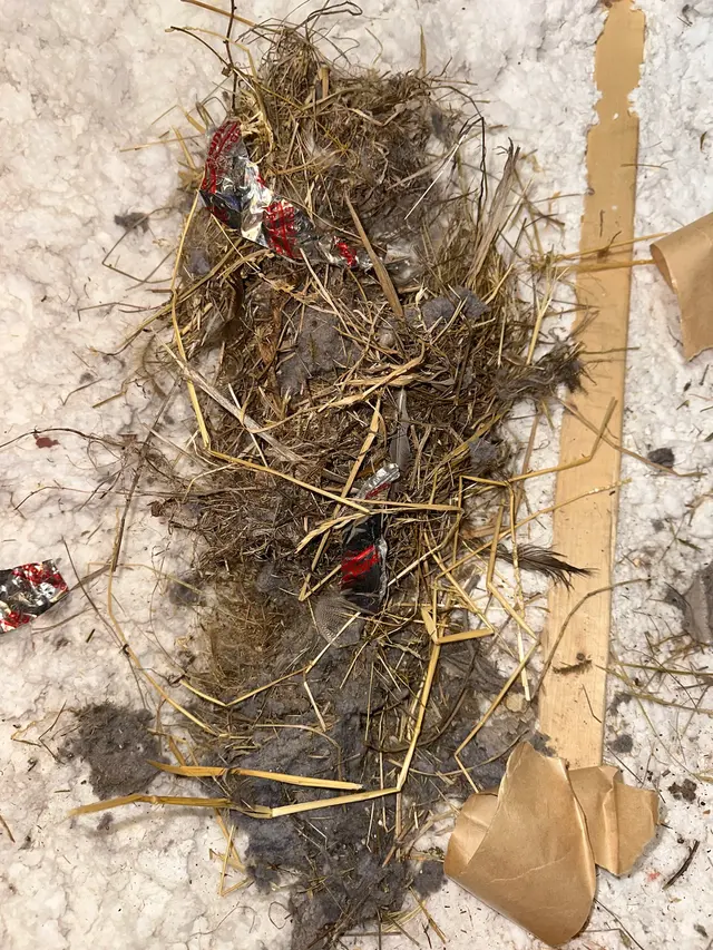 Duct Busters LLC — customer photo 7