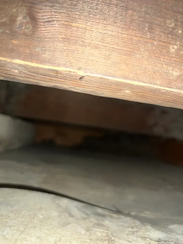 AlphaDuctCleaning LLC — customer photo 5