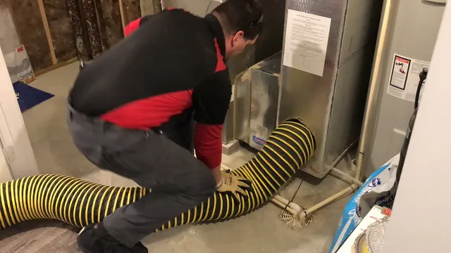 Mite-E-Ducts Air Duct Cleaning — photo from the business 5