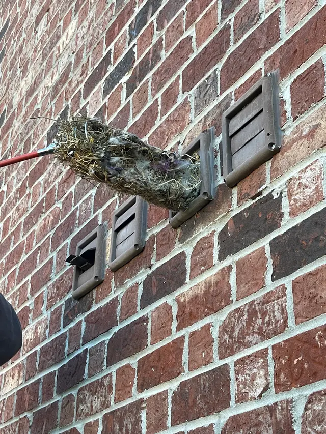 Dryer Vent Wizard of Central Indiana — photo from the business 10