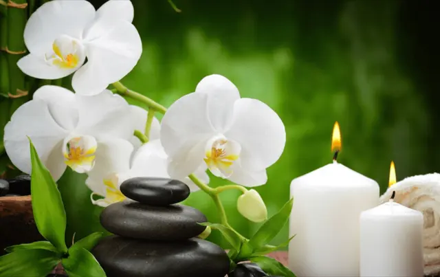 Green Day Spa & Massage — photo from the business 10