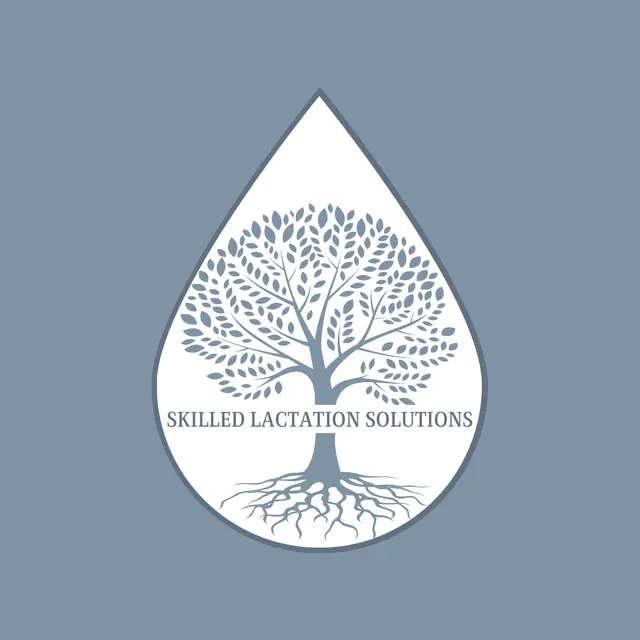 Skilled Lactation Solutions LLC — photo from the business 2