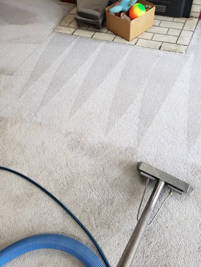 Rm cleaning services — photo from the business 9