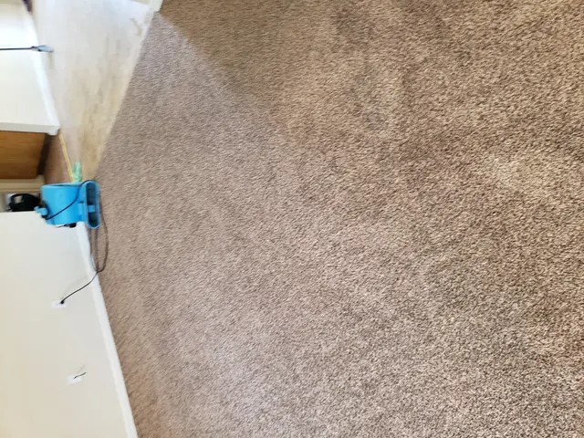 Rm cleaning services — photo from the business 3